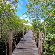 ทุ่งโปรงทอง