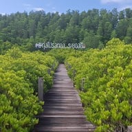 ทุ่งโปรงทอง