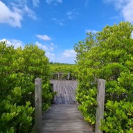 ทุ่งโปรงทอง