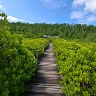 ทุ่งโปรงทอง