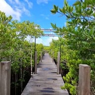 ทุ่งโปรงทอง