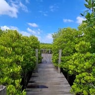 ทุ่งโปรงทอง