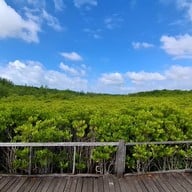 ทุ่งโปรงทอง