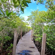 ทุ่งโปรงทอง