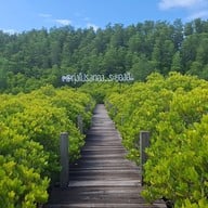 ทุ่งโปรงทอง