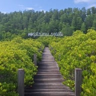 ทุ่งโปรงทอง