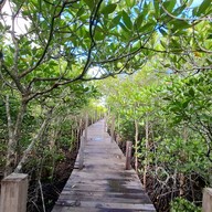 ทุ่งโปรงทอง