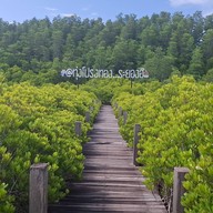 ทุ่งโปรงทอง