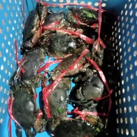 เมนูของร้าน ครัววิลดา