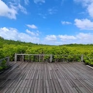 ทุ่งโปรงทอง