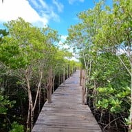 ทุ่งโปรงทอง