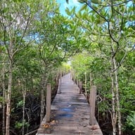 ทุ่งโปรงทอง