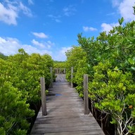 ทุ่งโปรงทอง