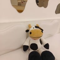 บรรยากาศ นมป่ะ ห้วยขวาง