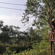 ผึ้งหลวงแคมป์กราวด์