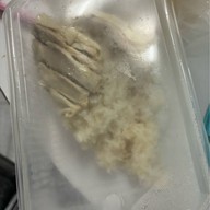 ข้าวมันไก่โกตา สาขาปั๊มPTT Park Mall 4