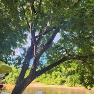 บรรยากาศ ก๋วยเตี๋ยวริมน้ำ เพชรบูรณ์ ก๋วยเตี๋ยวริมน้ำ เพชรบูรณ์