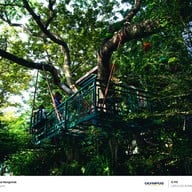 The Treehouse Nongchok