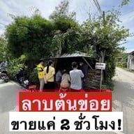 ลาบต้นข่อย