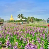 บรรยากาศ Notre maison Notre Maison