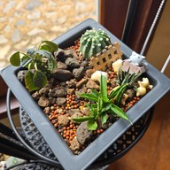 Biciclette cafe khaoyai