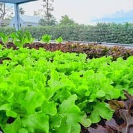 บรรยากาศ Notre maison Notre Maison