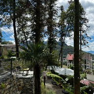 The Pine Forest Sapa