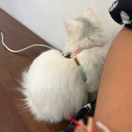 One Two Two Coffee Bar ชลบุรี