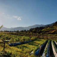 บ้านปลายดอย ดอยอินทนนท์