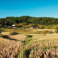 บ้านปลายดอย ดอยอินทนนท์