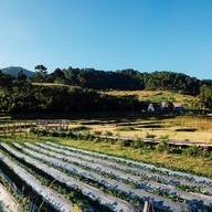 บ้านปลายดอย ดอยอินทนนท์