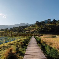 บ้านปลายดอย ดอยอินทนนท์