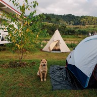 บ้านปลายดอย ดอยอินทนนท์