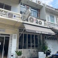 Blue Whale Blue Whale