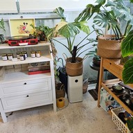 บรรยากาศ Bite Me Softly Cafe