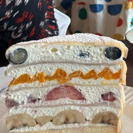 Dalmatian Siam Square Block i