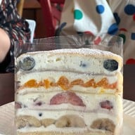 Dalmatian Siam Square Block i