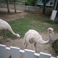 บรรยากาศ บ้านน้ำเลนโฮมสเตย์ แอนด์ คาเฟ่