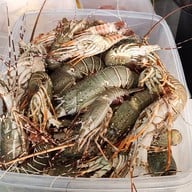 เมนูของร้าน โคตรทะเล (Kodtalay Seafood Buffet)  โคตรทะเล (Kodtalay Seafood Buffet)