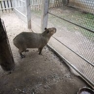 บรรยากาศ บ้านน้ำเลนโฮมสเตย์ แอนด์ คาเฟ่