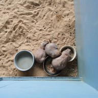 บรรยากาศ บ้านน้ำเลนโฮมสเตย์ แอนด์ คาเฟ่