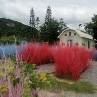 บรรยากาศ Memory House Cafe’ Memory House Coffee