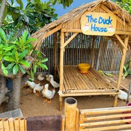 MORE THAN Beach & Cafe -