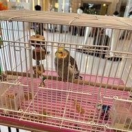 Lounge Pet Cafe'@Eastpana Hotel