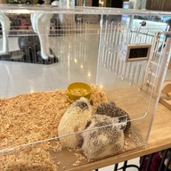 Lounge Pet Cafe'@Eastpana Hotel