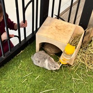 Lounge Pet Cafe'@Eastpana Hotel