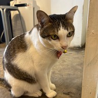 SOON CAFE - ซูน คาเฟ่ กาแฟสด & เค้ก & ครัวซองท์