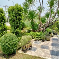 หน้าร้าน Mellow J coffee