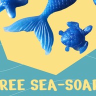 Under the sea สวนผัก