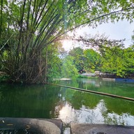 บ้านไม้ไร่เจริญ รีสอร์ทแก่งกระจาน